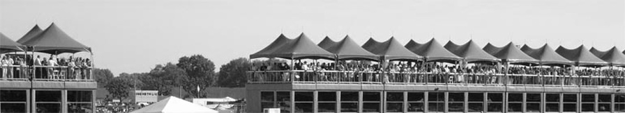 mitchsava.com header image 4